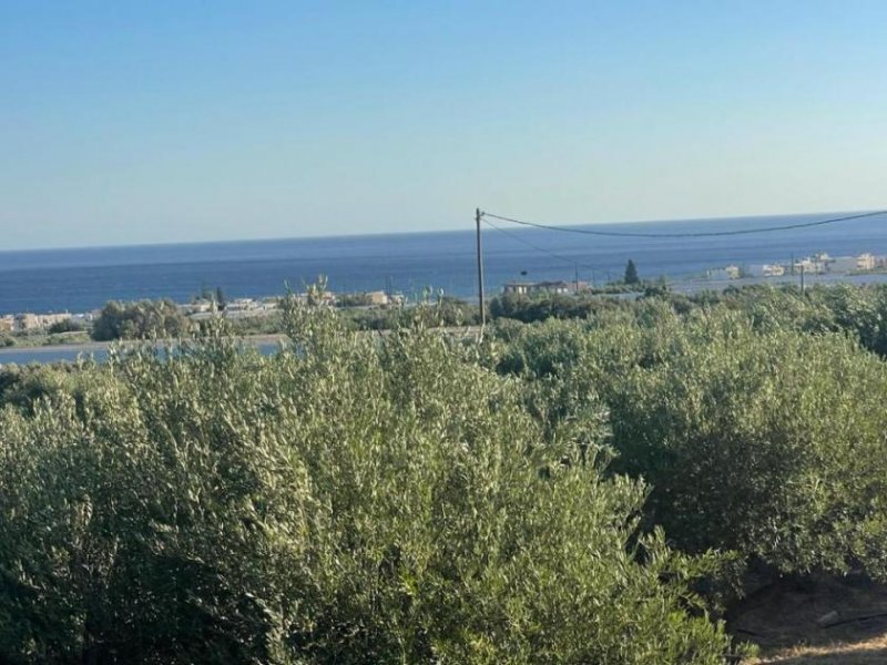 Koutsouras Kreta, Koutsouras: Tolles Baugrundstück in Meeresnähe zu verkaufen Grundstück kaufen